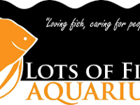 Lots of Fins Aquarium